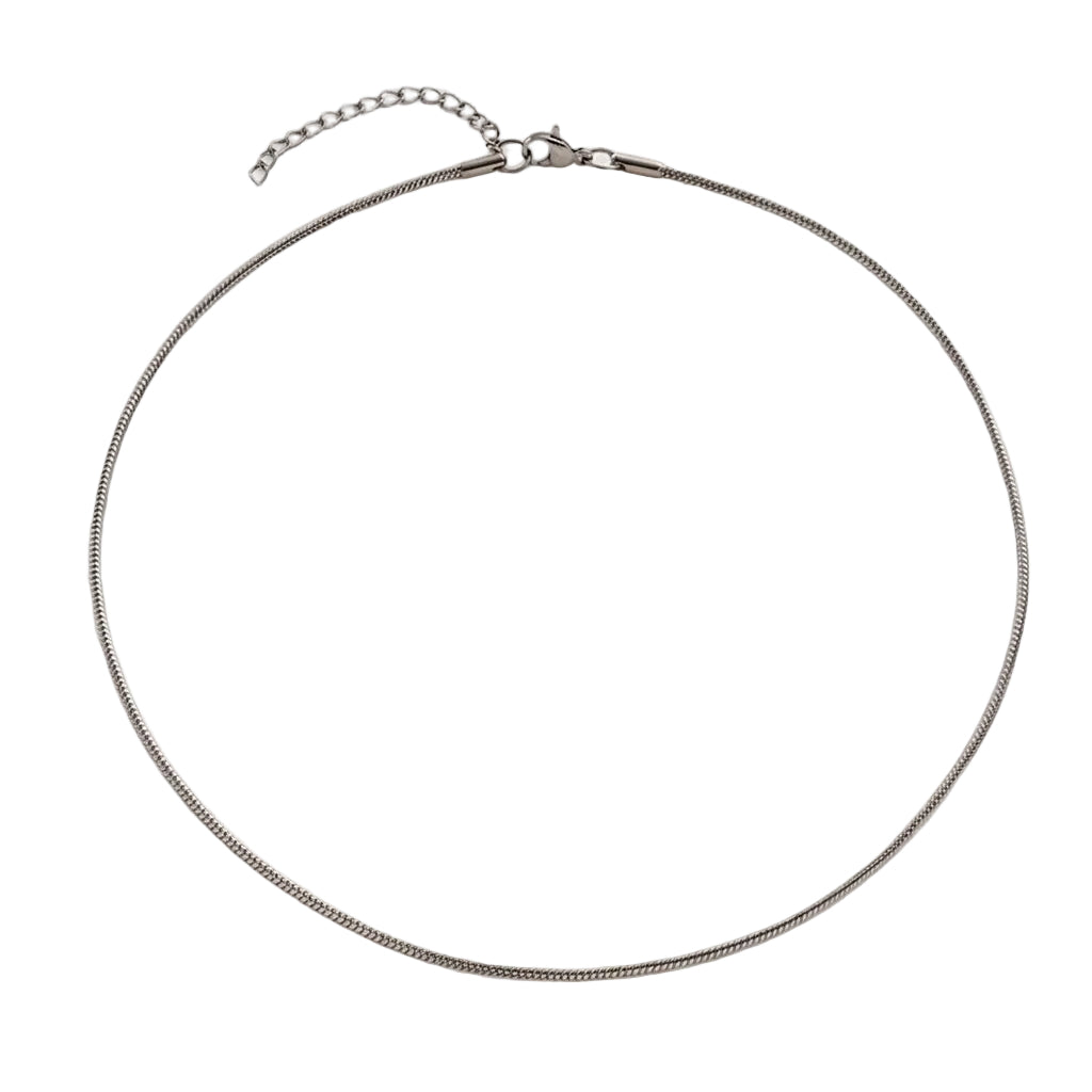 Minimalist Snake Necklace